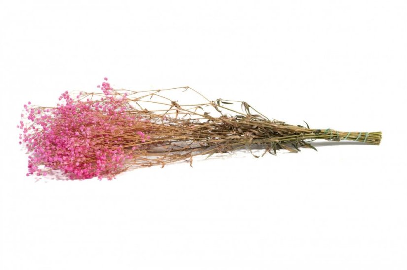 Stabilizované květiny Gypsophila - Růžová