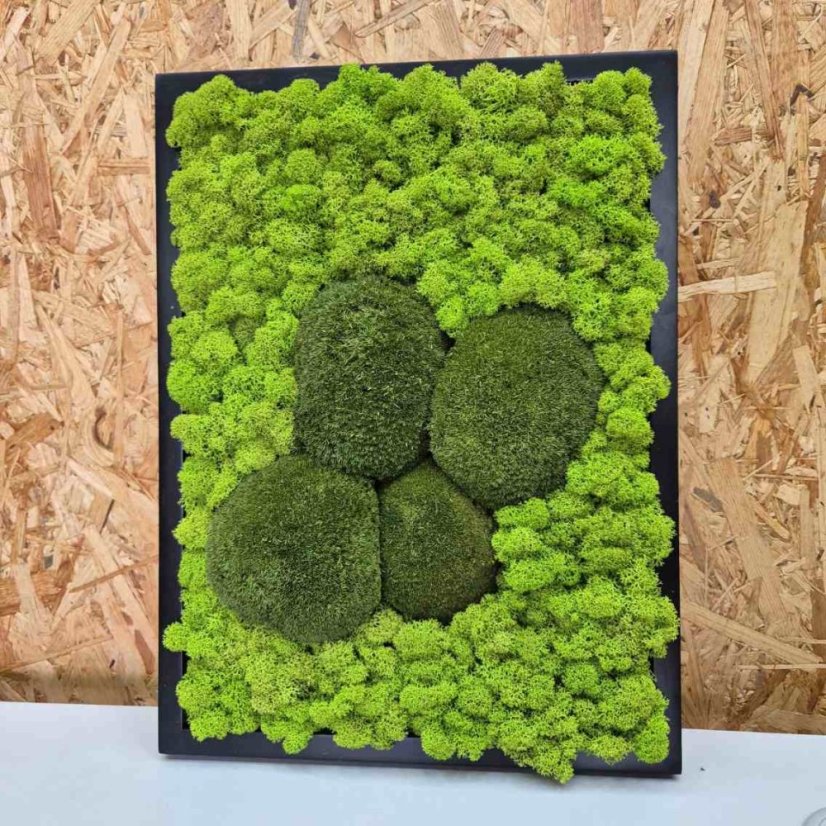 DIY-Set für Moosbild – 30×40 cm - Rahmenfarbe: Fichte, Farbe des Kugelmooses: Naturgrün
