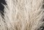 Stabilizovaná okrasná tráva "Tiki" - Bílá