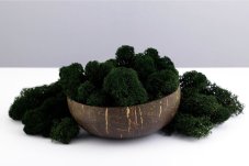 Mușchi stabilizat curățat - lichen - Întunecat - Finlandez