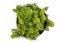 Stabilizovaný mech - lišejník - Střední zelená - Hmotnost: 1kg