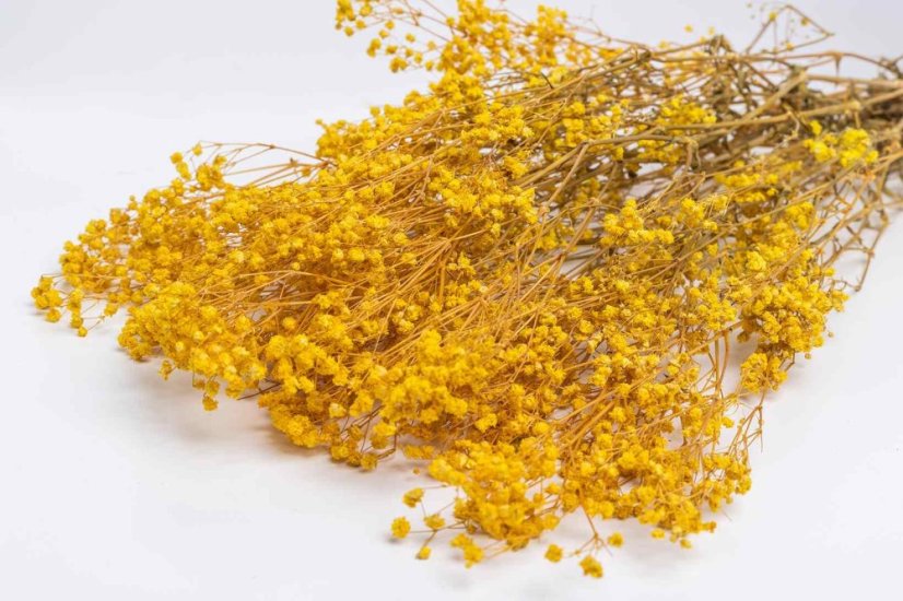 Stabilizované kvety Gypsophila - Žltá