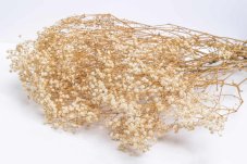Stabilizované kvety Gypsophila - Krémová