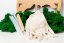 Kit DIY pentru arbore de mușchi - 30 cm - Culoarea lichenului: Verde lime