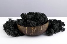 Stabilisiertes Moos - Flechte - Schwarz