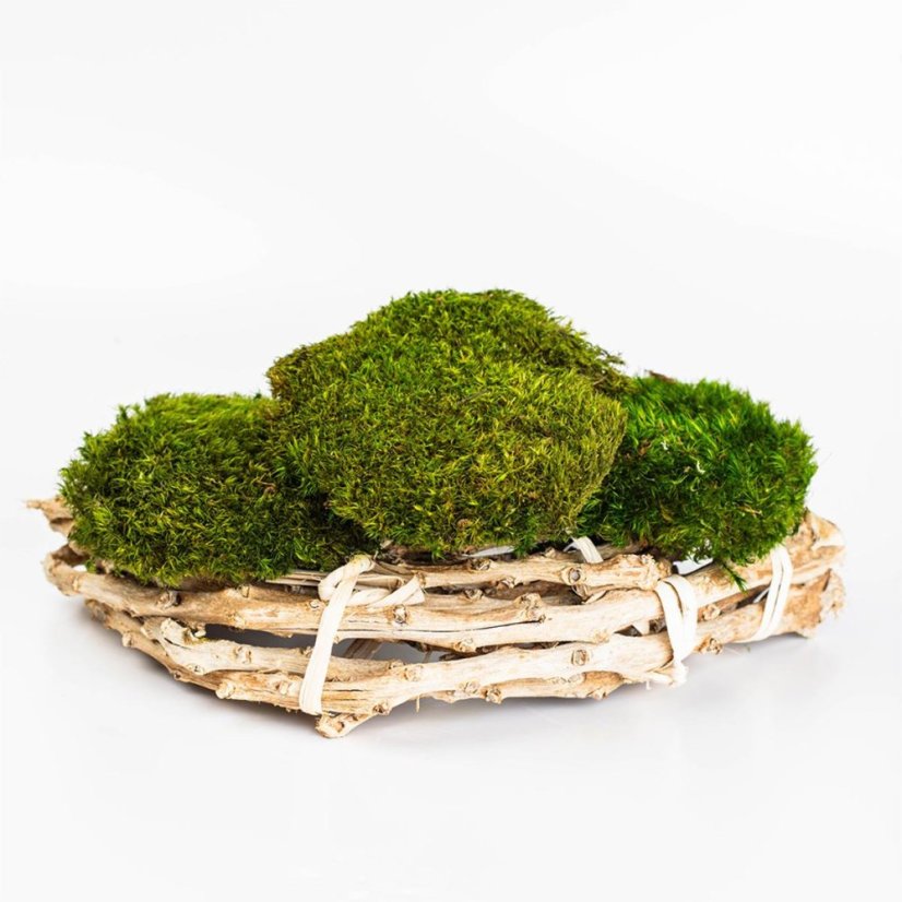 Kugelmoos - Provenzalisch - Fläche: 1,4 m²