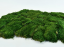 Plochý mach - Prírodná zelená PREMIUM - Váha: 350g (cca 0,2m2)