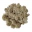 Muschio stabilizzato - lichene - Naturale - Peso: 5kg
