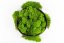 Mușchi stabilizat curățat - lichen - Verde măr - Finlandez - Greutate: 100g