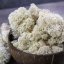 Muschio stabilizzato purificato - lichene -  Naturale - Finlandese - Peso: 100g