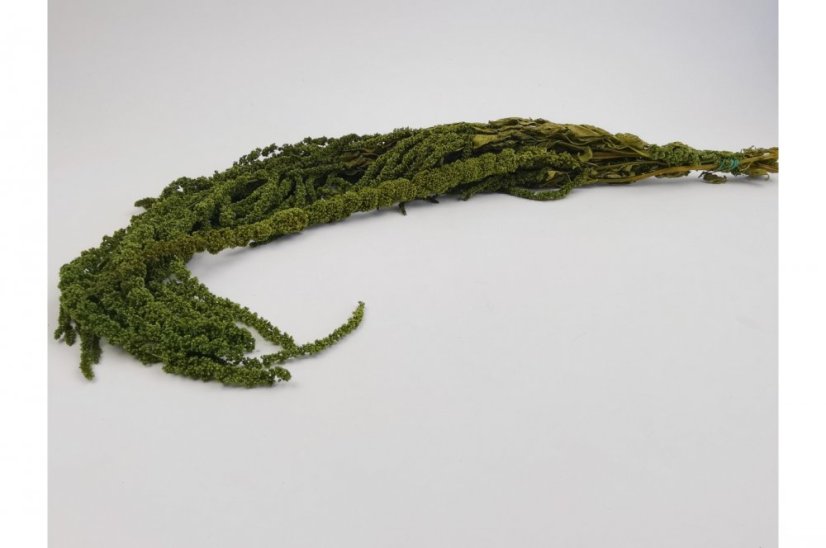 Stabilizovaný Amarant - Olivovo zelený - Veľkosť: Zväzok (120-150g)