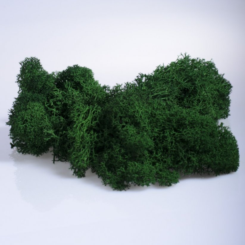Čištěný stabilizovaný mech - lišejník - Smaragdová zelená - Finský - Hmotnost: 500g