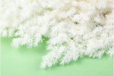 Ramoscelli Ming stabilizzati - Bianchi