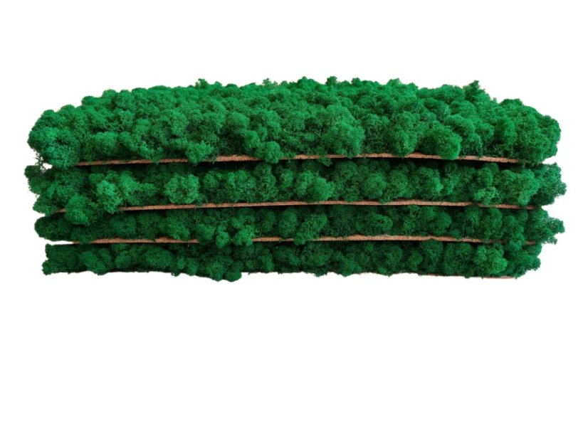 Flechtenplatte - 60x40 cm - Panelfarbe: Smaragdgrüne