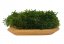 Ploski mah - naravno zelen PREMIUM - Teža: 1,3kg (cca 0,75m2)
