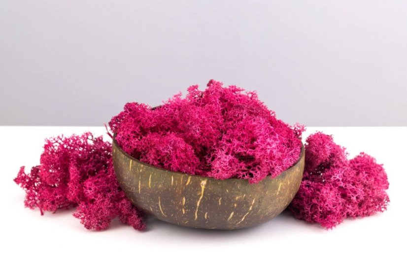 Stabilisiertes Moos - Flechte - Rosa - Gewicht: 1kg