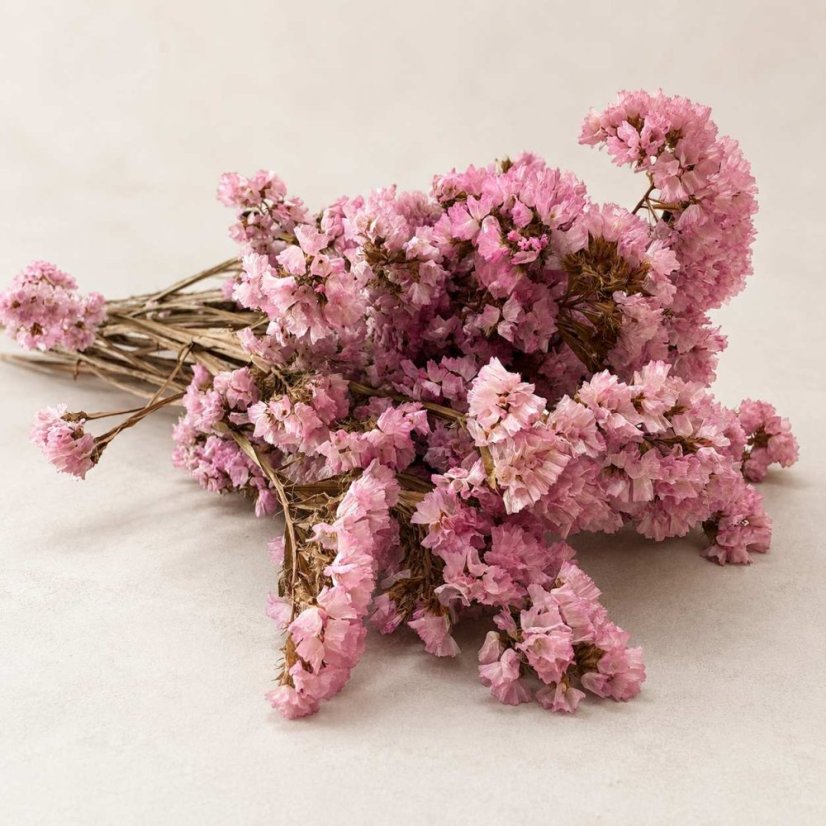 Stabilizált Limonium virág - Rózsaszín