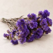 Flori stabilizate Limonium - Mov