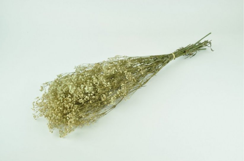Stabilizované kvety Gypsophila - Krémová