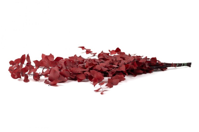 Stabiliziran Evkaliptus Stuartiana - Rdeč